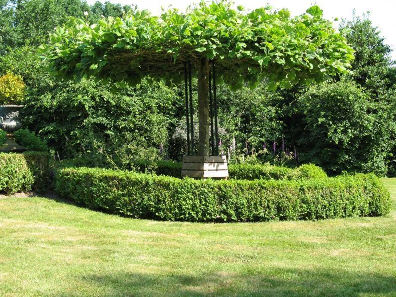 Erfgoedlogies Bed And Breakfast 'T Olde Hof Westervelde Εξωτερικό φωτογραφία